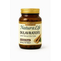 NTR Burdock Root 
